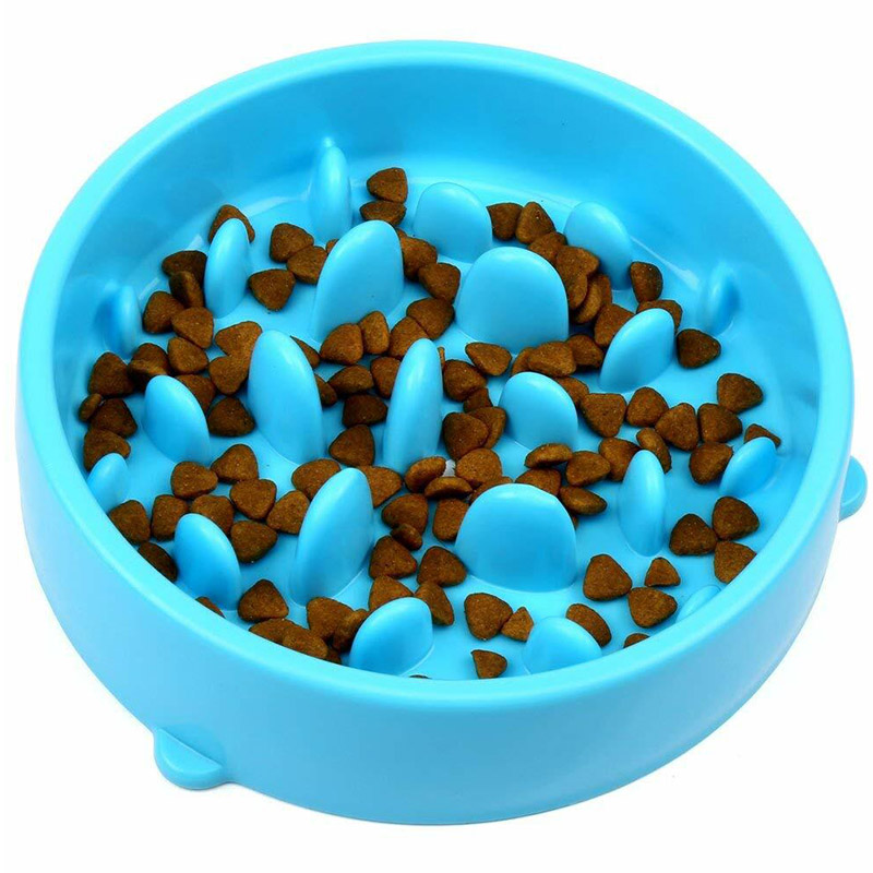 Slow Feeder Bowl
